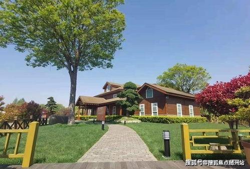 益阳今天爆料最新消息查询,揭秘今日重大新闻事件！”