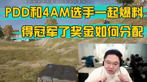 pubg新枪最新爆料,全新枪械亮相，pubg新枪爆料引玩家热议！