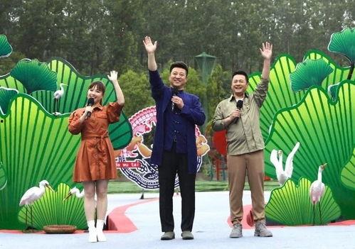 仙女象棋爆料视频最新,最新爆料视频深度解析