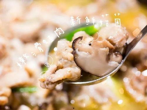 爆料牛蛙视频大全最新,最新爆料视频大全精彩呈现
