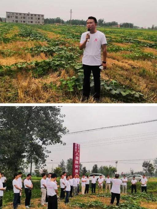 乌鸦爆料张大炮最新进展,张大炮最新动态揭秘