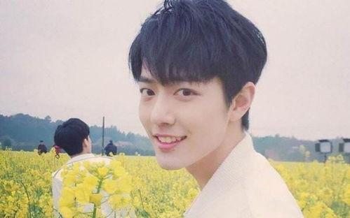 杨紫肖战最新爆料知乎,揭秘幕后故事与精彩瞬间