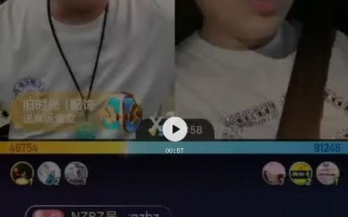 快手爆料老狗视频大全最新,老狗视频大全，趣味横生瞬间集结