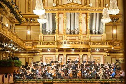 最新爆料维也纳视频播放,最新爆料背后的惊人真相