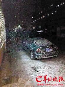 珠海网友爆料最新,惊现神秘事件，真相令人震惊！